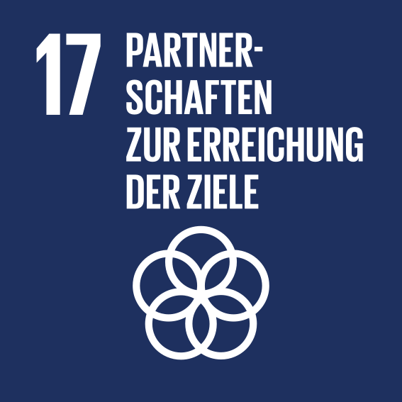 bring-together UN Nachhaltigkeitsziele SDG 17 Partnerschaften zur Erreichung der Ziele