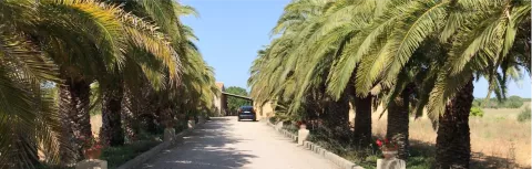 Gemeinsames Ferienhaus mit ökologischem Weinanbau auf Mallorca