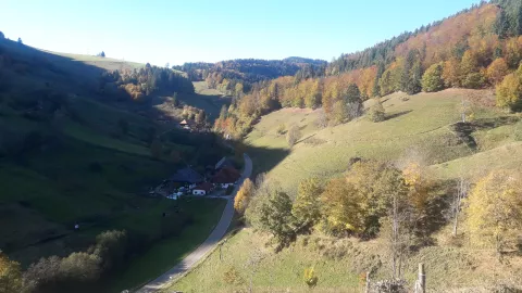 Maienhof