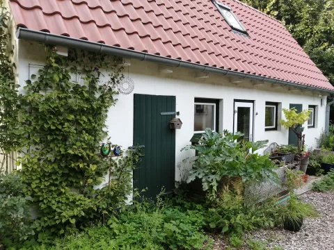 Wildnispädagoginnen WG