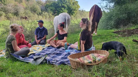Lebenshof für Menschen Tiere Natur und Kunst. Mit geretteten Pferden+Seminaren.