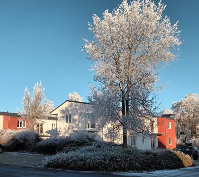 Gemeinsam ins Alter