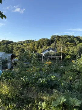 Wohnen im Bergischen Land