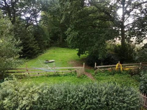 Blick nach Westen in den Garten