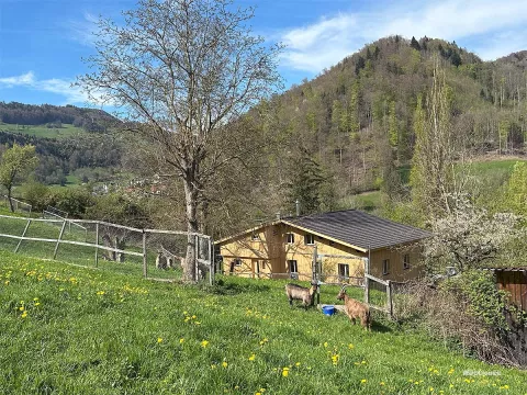 Mitwirken auf einem kleinen Selbstversorgerhof