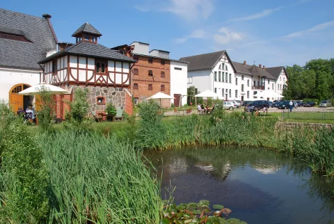 sieben eichen / PROJEKT 7-E