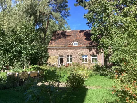 Wohnen im Wald