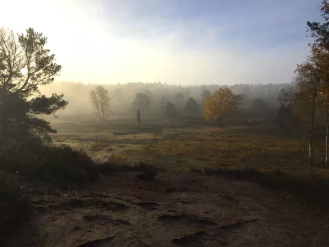 Gemeinsam wohnen in der Natur ab 55