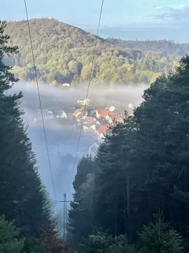 Pfälzer Wald