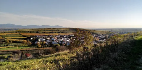 Kaiserstuhl Connection