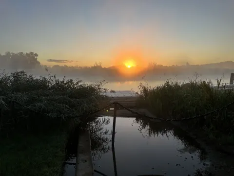 Gemeinsames Wohnen in Rostock