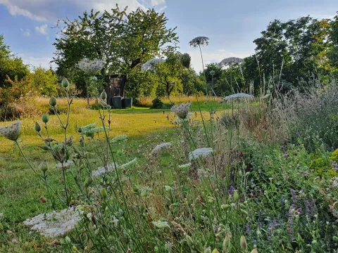 Hof.Garten Medewitz