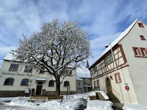 Dorfprojekt Westheim (zw. WÜ-KT-OCH) - Wohnraum sucht Menschen