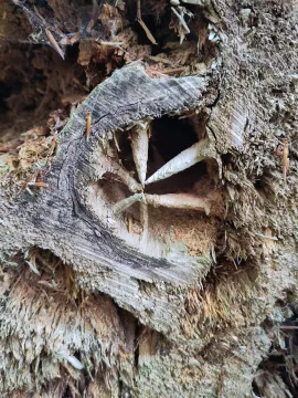 Zusammen ist man weniger allein