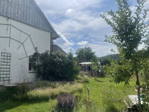 Hofgemeinschaft in Windeck sucht Mitbewohner*in*