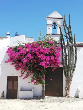 PALOMARA Andalusien