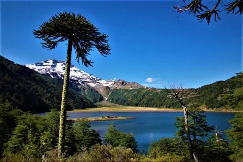 Fundo Laguna Blanca, Resort, Chile