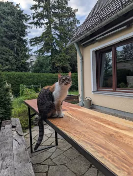 Ein Haus im Münchner Westen