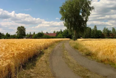 aufs land