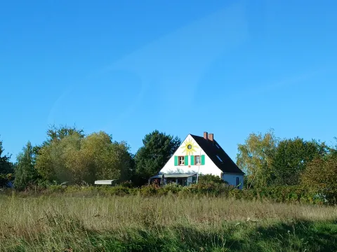 Auszeit-Haus-Waldblick