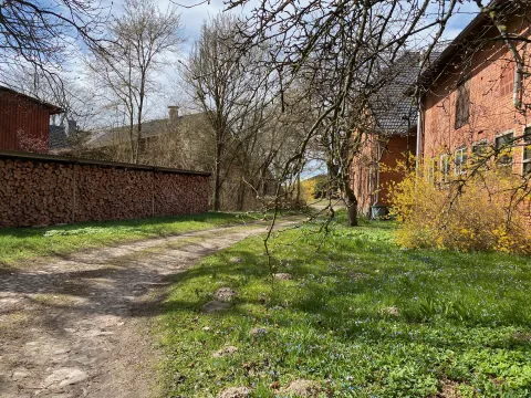 Hofauffahrt mit Obstbäumen und Feuerholzlager