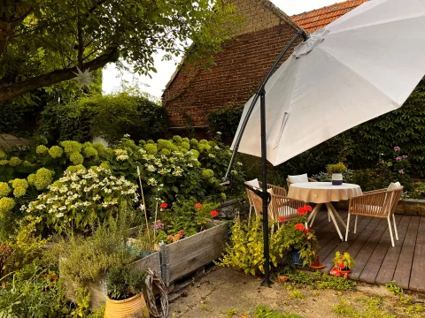 Neues Wohnprojekt auf zauberhaftem Bauernhof in Bornheim sucht nette Menschen