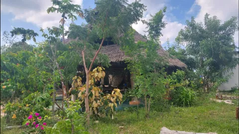 garden of wonders - Auszeit in Zanzibar