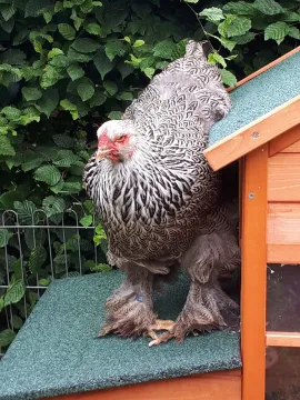 Wohngemeinschaft am Stadtrand von Hannover