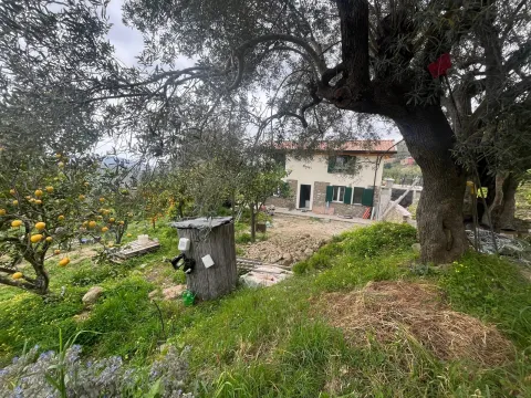 Ferienhaus in Süditalien (Cilento) in schönem Obst/Olivengarten