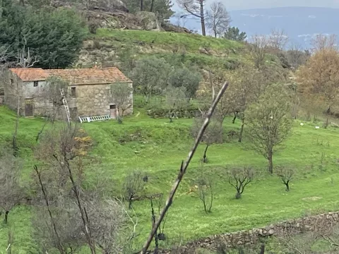 Jardim do Entusiasmo , Portugal