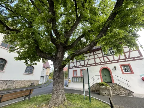 Westheim (zw. WÜ-KT-OCH) - Menschen gesucht!