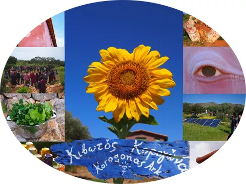 Arche Korogonas - Korogonas Ark Community