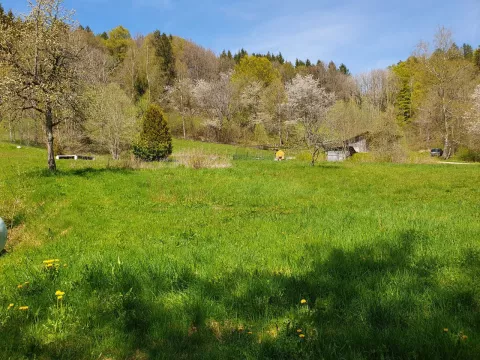 Familie/Mitbewohner gesucht für neu entstandenes Wohnprojekt im Schwarzwald