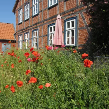 Ferienwohnung (vielleicht auf Dauer ?!?!) Ferienwohnung (vielleicht auf Dauer ?!?!)