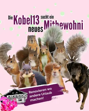 Kobel13
