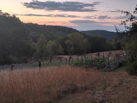 Paysannerie d'abondance