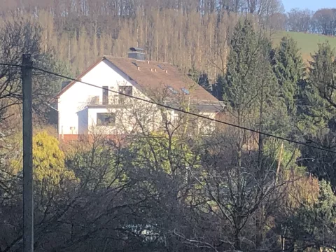 LichtPferdeHof