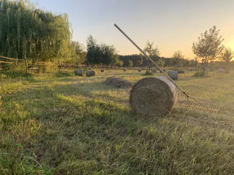 Landparadies für die nächste Generation