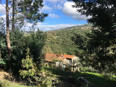 Jardim do Entusiasmo , Portugal