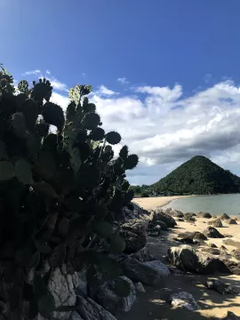 neben dem zentralen Sandstrand gibt es noch seitliche Strandpartien mit Felsen, Kakteen und üppigem Pflanzenbewuchs