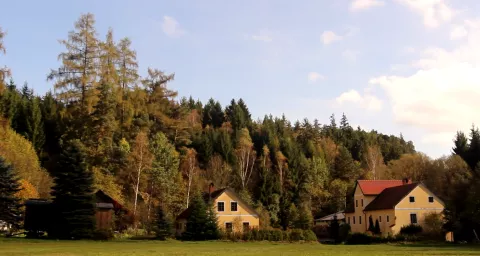 Hofkollektiv Zwetschke