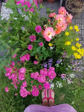 Mitbewohnerin für Haus mit Garten in Wedel gesucht