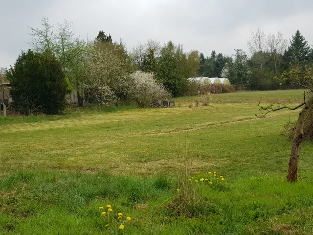 Blick über die (Margeriten-)Wiese zur Chillecke