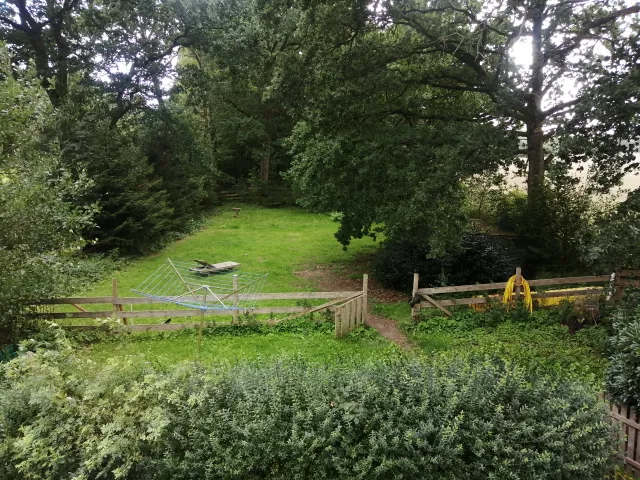 Blick nach Westen in den Garten