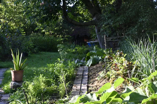 Garten mit Gemüsebeet