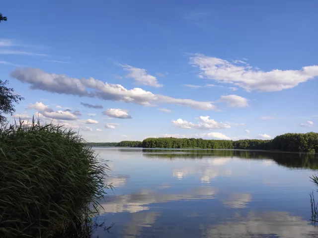 Badestelle am Großen Wünsdorfer See (5 Min zu Fuß)