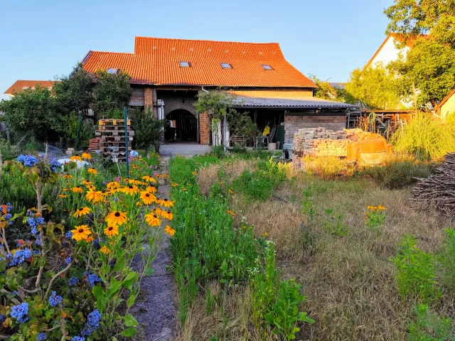 Garten im Sommer 2025