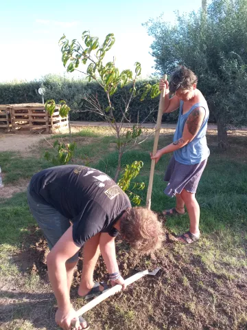 Gartenarbeit