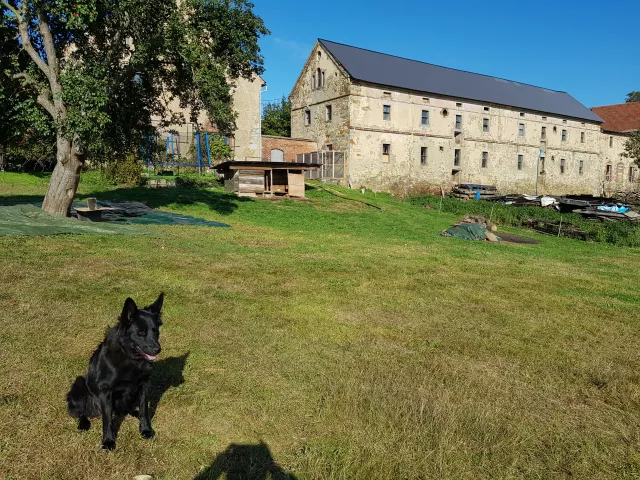 Bild Osthaus