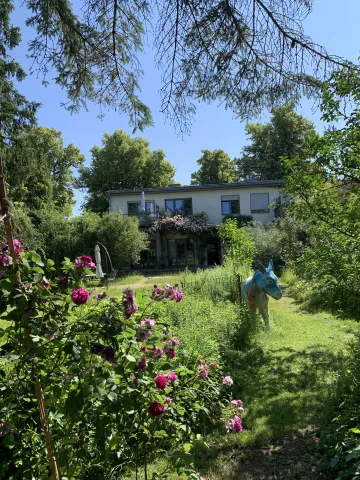 Rückseite Haus (Loftwohnung oben linke)